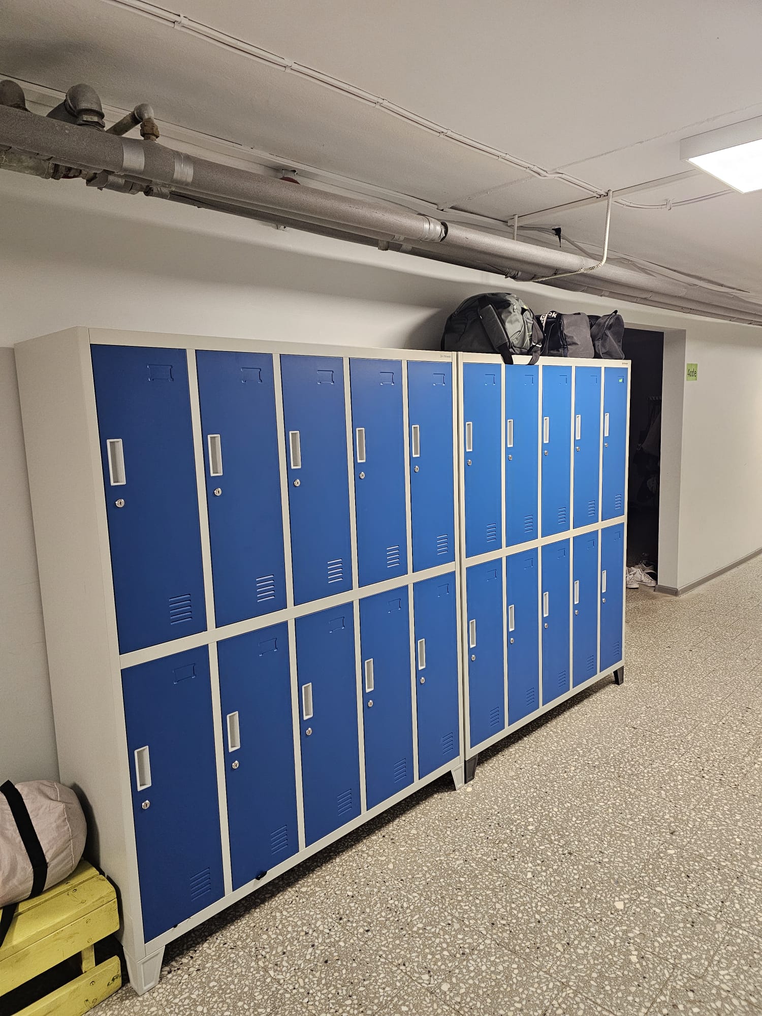 motion photo 1552273884519141337